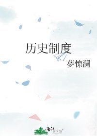 历史制度
